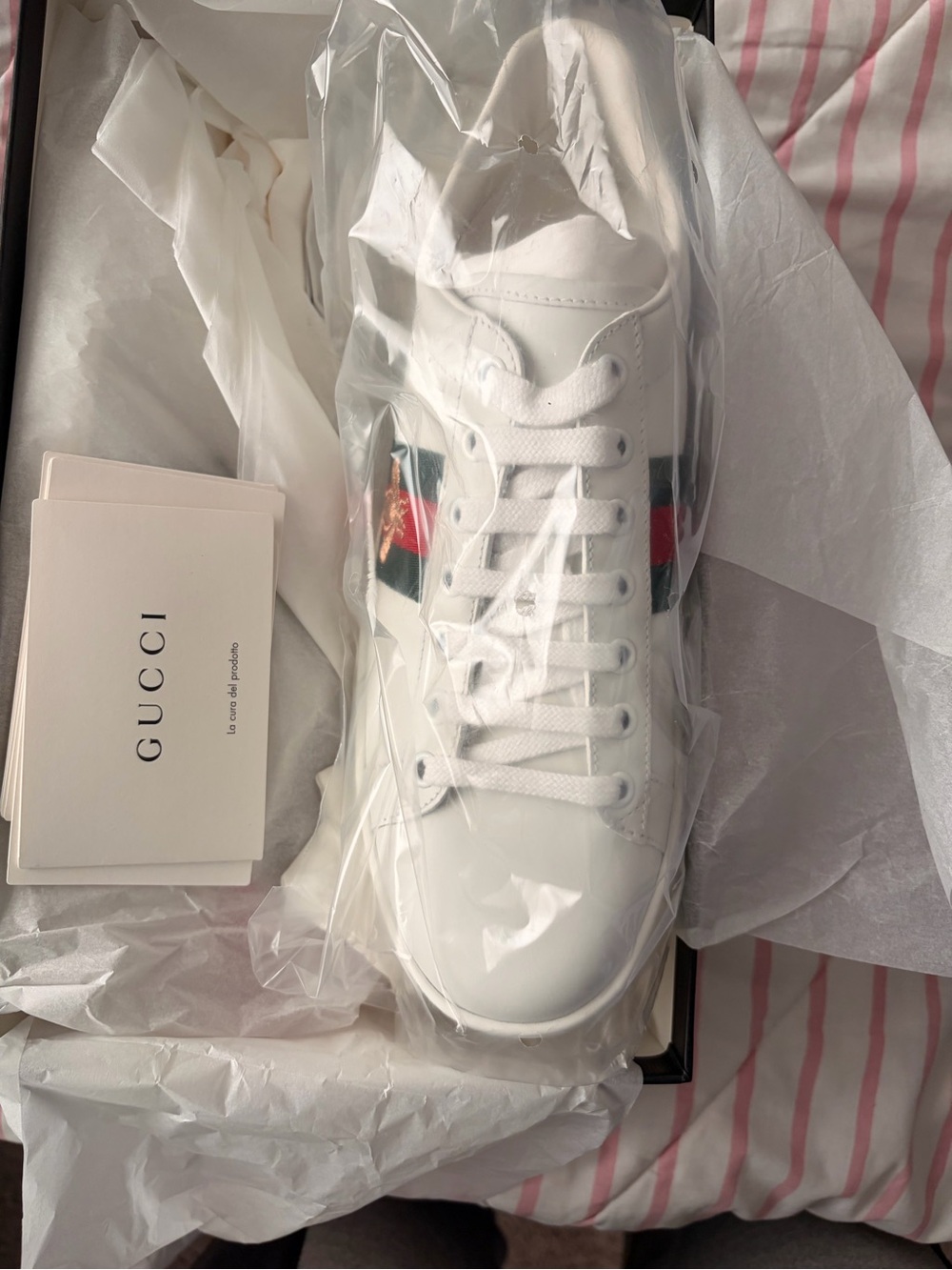 Gucci sneakers still in box and plastic, never worn or tried on.